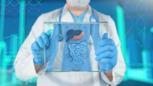 Human Abdomen, Stomach Cancer, Human Stomach - Internal Organ, Human Digestive System, Medical Exam