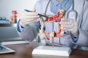 Gastroenterologist showing human colon model at table in clinic