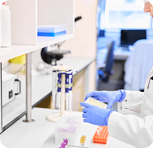 Pathologist performing a test for pylori bacteria.